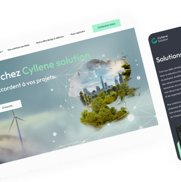 Réalisation CSWS - Interface web et UX design